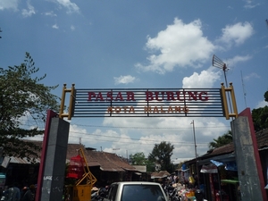 1P Malang, vogelmarkt _P1140135