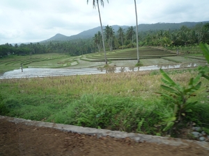 2A Gilimaluk--Sanur, West naar Zuidoost Bali _P1140356