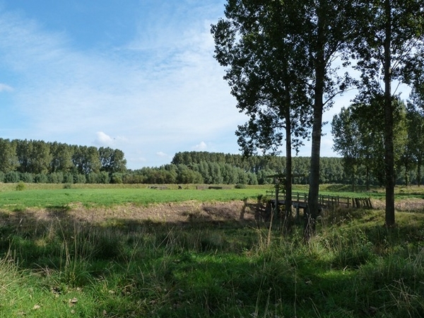 064-Fortendijk