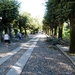 Lago Maggiore 2012 013