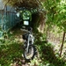Lago Maggiore 2012 025