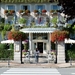Lago Maggiore 2012 030