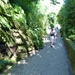 Lago Maggiore 2012 068