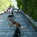 Lago Maggiore 2012 072