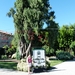 Lago Maggiore 2012 081