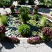 Lago Maggiore 2012 087