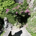 Lago Maggiore 2012 090