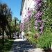 Lago Maggiore 2012 092