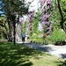 Lago Maggiore 2012 093