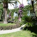 Lago Maggiore 2012 094