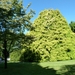 Lago Maggiore 2012 098