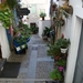 Lago Maggiore 2012 126