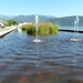 Lago Maggiore 2012 141