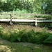 Lago Maggiore 2012 158