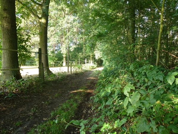 2012-09-04 Begijnendijk 005