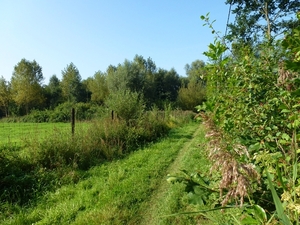 2012-09-04 Begijnendijk 006