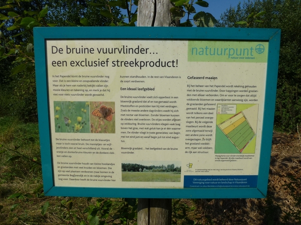 2012-09-04 Begijnendijk 012