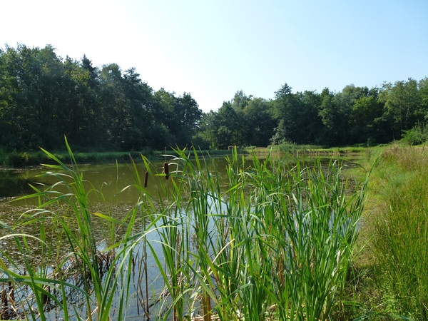 2012-09-04 Begijnendijk 013