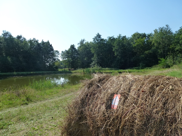 2012-09-04 Begijnendijk 014