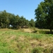 2012-09-04 Begijnendijk 015