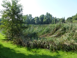 2012-09-04 Begijnendijk 023