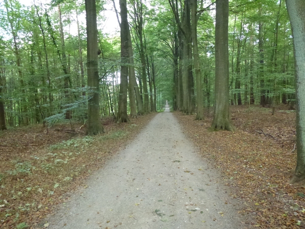 2012-09-05 Bierbeek 012