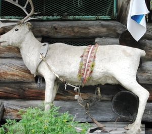 196INARI-MUSEUM-06
