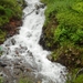 261-BERGSTROOM-02