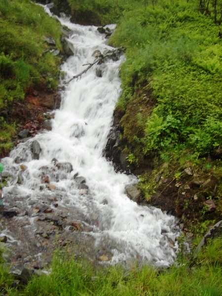 261-BERGSTROOM-02