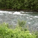 262-BERGSTROOM-03