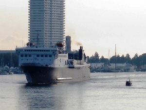 469-AFMEREN-02