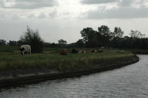 DSC_9800-20120906_112453