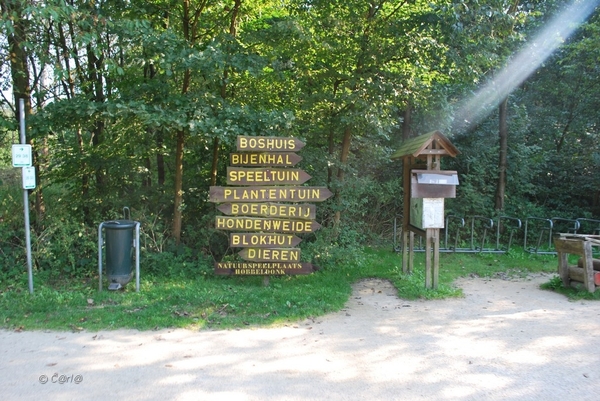 2012-09-04 JanMed Lier (108)