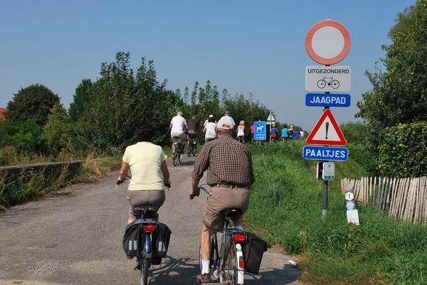 2012-09-04 JanMed Lier (11)