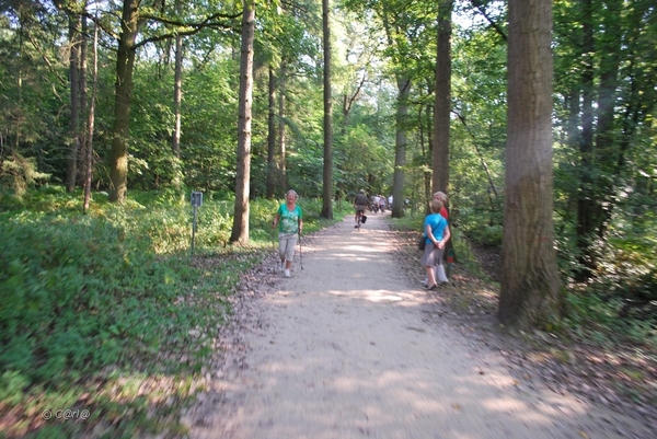 2012-09-04 JanMed Lier (110)