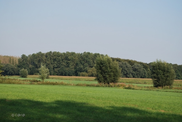 2012-09-04 JanMed Lier (133)