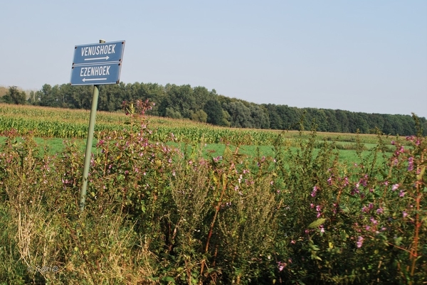 2012-09-04 JanMed Lier (134)