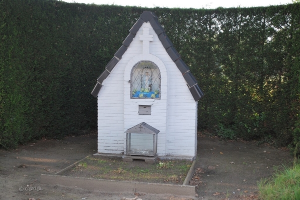 2012-09-04 JanMed Lier (138)