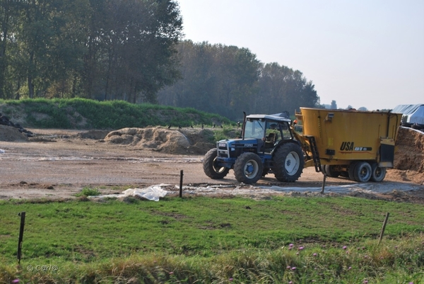 2012-09-04 JanMed Lier (192)