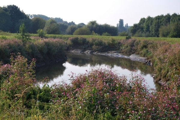 2012-09-04 JanMed Lier (197)