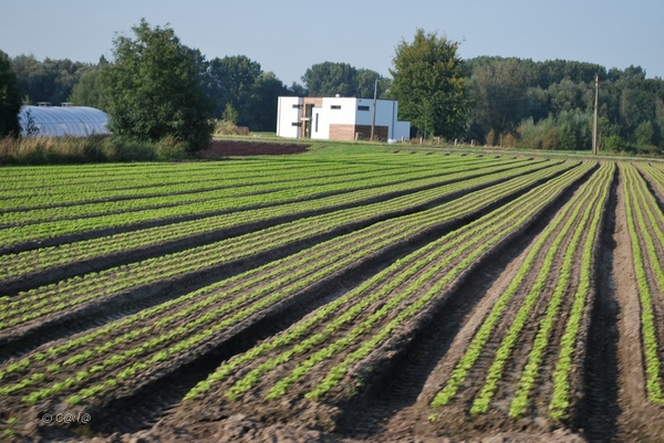 2012-09-04 JanMed Lier (212)