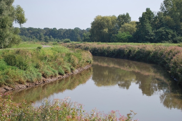 2012-09-04 JanMed Lier (27)