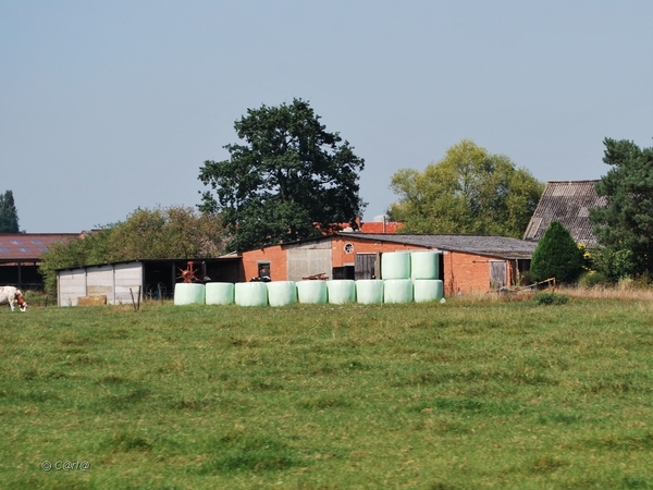 2012-09-04 JanMed Lier (52)