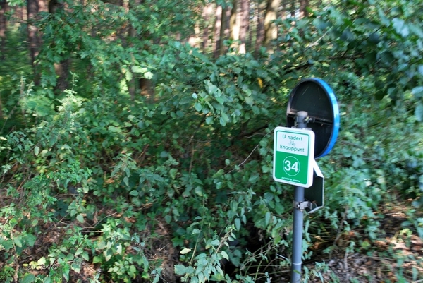 2012-09-04 JanMed Lier (65)