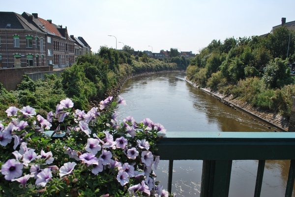 2012-09-04 JanMed Lier (8)