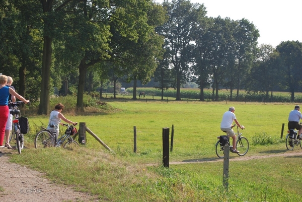 2012-09-04 JanMed Lier (97)