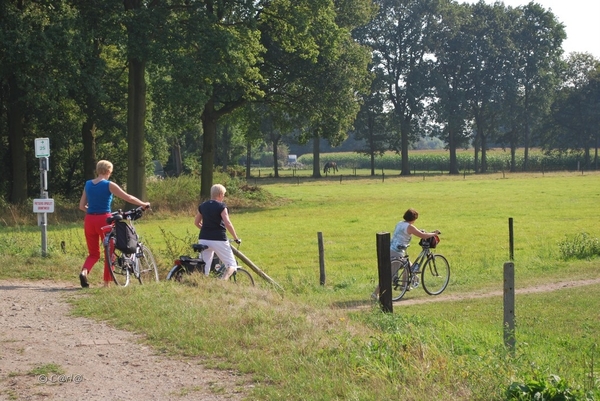 2012-09-04 JanMed Lier (98)