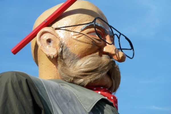 Antwerp, folklore, Deurne reuzen