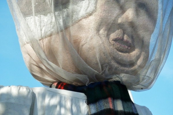 Antwerp, folklore, Deurne reuzen