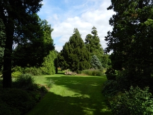 20120906.KalmthoutArboretum 023